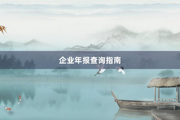 企业年报查询指南