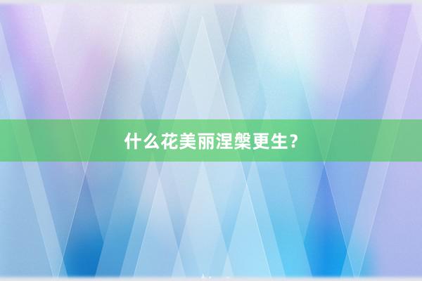 什么花美丽涅槃更生？