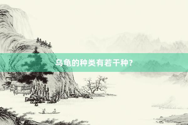 乌龟的种类有若干种？